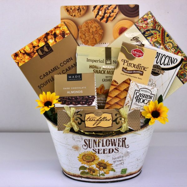Sunflower Sensation